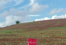 လယ်ယာမြေလုပ်ပိုင်ခွင့် ပုံစံ (၇) ကိုင်ဆောင်သူများ လိုက်နာရမည့် ဥပဒေပါ စည်းကမ်းချက်များ ထုတ်ပြန်