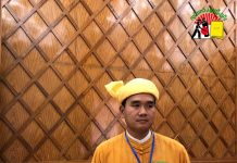 ၀ှစ်သောက်ကားများ လိုင်စင်ရရေးအတွက် ကျားဖြူကိုယ်စားလှယ်၏အဆို မအောင်မြင်