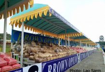 သျှမ်းပြည်နယ် အတွင်း မူးယစ်ဆေးဝါး ရောင်းဝယ်မှုကို ကူညီ နေသည့် တပ်မတော်ကို စုံစမ်းစစ်ဆေး အရေးယူသင့် ICG တိုက်တွန်း