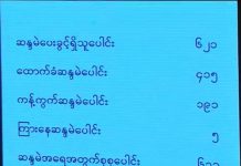 ၂၀၀၈ ဖွဲ့စည်းပုံအခြေခံဥပဒေပြင်ဆင်ရေး ကော်မတီဖွဲ့စည်းရန် ထောက်ခံမဲအနိုင်ရ