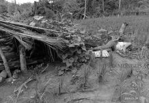 မိုင်းတုံ မြို့တွင် အသက် ၆၀ ကျော် အမျိုးသား တဦး ခေါင်းဖြတ်သတ်ခံရ