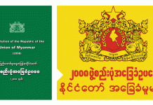 ၂၀၀၈ ဖွဲ့စည်းပုံ ပြင်ဆင်ရေးအတွက် SNLD မှ အကြံပြုချက် အများဆုံးပေးခဲ့