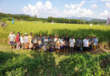 တာချီလိတ်မြို့နယ် သိမ်းဆည်းခံထားရသည့် လယ်ယာမြေများ အမြန်ပြန်ပေးရန် တောင်းဆို