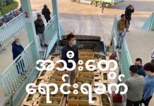 တရုတ်အရေးပေါ် အခြေအနေကြောင့် သစ်သီးဝလံ ရောင်းရန် ခက်ခဲနေ