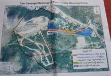 နှစ်ရှည်ထင်းရှူးပင်များ များစွာပါဝင်သော ပန်းချယ်ရီအိမ်ယာ စီမံကိန်းအား တောင်ကြီး မြို့ခံများ ကန့်ကွက်