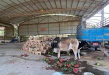 ဖရဲသီးကား လမ်းတွင် ကြန့်ကြားမှုကြောင့် တရုတ်ပြည်သို့ တင်ပို့ရန် အရည်အသွေးကျဆင်း