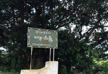 ကျေးသီးမြို့ ကိုဗစ် -၁၉ လူနာ(၂)ဦး စတွေ့ စစ်ရှောင်များအတွက် စိုးရိမ်နေရ