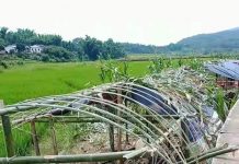 အိမ်စောင့်တပ်နှင့်ကိုးကန့်တပ် တိုက်ပွဲကြောင့် မူဆယ်ခရိုင်ကျေးလက်လူထုအခက်တွေ့