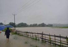 မိုင်းရယ်မြို့နယ်အတွင်း ချောင်းရေလျှံမှုကြောင့် လယ်ပေါင်းများစွာ ရေလွှမ်း