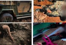 နမ့်စန် စကစ တပ် SSSG – PDF မှ တိုက်ခိုက်သည့်သတင်း ဌာနေ ပြည်သူ့စစ် မသိရှိ