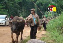 နှစ်ပေါင်းများစွာ စစ်ဒဏ်ခံနေရတာ သျှမ်းပြည်လူထုရဲ့ ဝဋ်ကြွေးလား