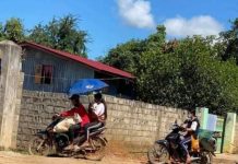 မိုင်းရှူးမြို့ပေါ်ထိ တပ်သားသစ် ကောက်ယူစုဆောင်းနေ