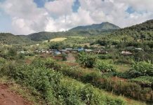 တန့်ယန်းမြို့နယ် MNDAA မှ တပ်သားသစ်နှင့် အမျိုးသမီးများကို တောင်းခံနေ