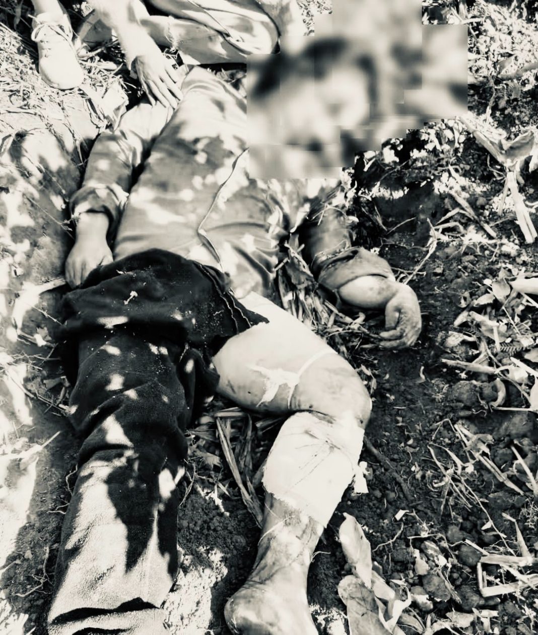 signal-2021-11-09-131623_001