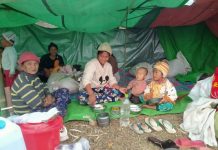 ဖက်ဒရယ် ကြွေးကြော်သံကြားက မြေစာပင်များ