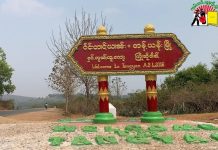 တန့်ယန်းမြို့နယ်အတွင်း တပ်သားသစ်များစုဆောင်းနေ