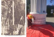 သျှမ်းပြည် EAO များ စစ်ကောင်စီ ပြုလုပ်သည့် ပြည်ထောင်စုနေ့ မတက်ရန် သျှမ်းလူထု နှိုးဆော်