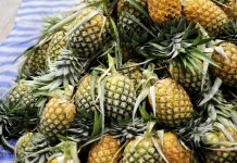 ဆီဆိုင်မြို့နယ် နာနတ်သီး၂လုံးခိုးစားမှုကြောင့် ရွာသားများဝိုင်းရိုက် သေဆုံး