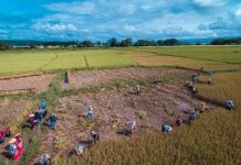 ပုံးအင်းဒေသတွင် စစ်မှုထမ်းလူစားထိုးရန် လူမရှိ၊ မဲနှိုက်ပြီးလူခေါ်နေ