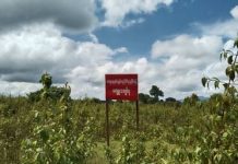 ကျေးသီးမြို့ ပြည်သူပိုင် မြေယာ ကြံ့ခိုင်ရေးပါတီ နှင့် သစ်တော ဦးစီး အဓမ္မသိမ်းယူ