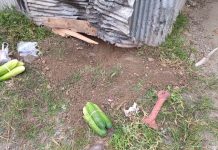 မိုင်းပျဥ်းမြို့မဈေးအတွင်း မိုင်းပေါက်ကွဲ၊ ဈေးသည် တစ်ဦး ထိခိုက်ဒဏ်ရာပြင်းထန်စွာရ