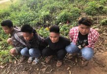 ကျေးသီးမြို့နယ်အတွင်း သူခိုးများကို ဒေသခံများ ဝိုင်းဝန်းဖမ်းဆီး