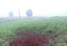 မိုင်းကိုင်မြို့နယ် လယ်ယာအတွင်း လက်နက်ကြီး ကျပေါက်ကွဲ