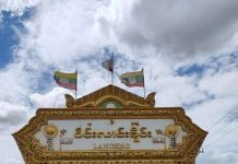 လင်းခေးမြို့ အမျိုးသားတစ်ဦး လက်လုပ် သေနတ်ဖြင့် ပစ်သတ်ခံရ