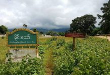 လားရှိုး စစ်ကောင်စီ တိုက်လေယာဉ်ဗုံးကြဲမှုကြောင့် အမျိုးသမီး ၂ ဦးသေဆုံး၊ ၁ ဦး ဒဏ်ရာရ