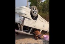 သံဃာတော် မောင်းနှင်လာသည့် ကားတစ်စီး တိမ်းမှောက်