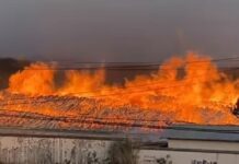 မြန်မာ – တရုတ်နယ်စပ် ရွှေလီမြို့ ကျွန်းသစ် ထားရာနေရာ မီးလောင်မှုဖြစ်