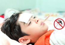 နမ္မတူမြို့နယ်အတွင်း ရာသီတုပ်ကွေးကြောင့် ဖျားနာသူ များနေ