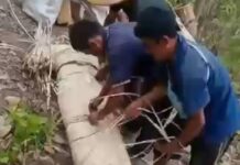 မိုင်းကိုင်မြို့နယ် အမျိုးသားတစ်ဦးကို SSPP/SSA တပ်ဖွဲ့က ပစ်သတ်ခဲ့ပြီး လျော်ကြေးငွေပေး