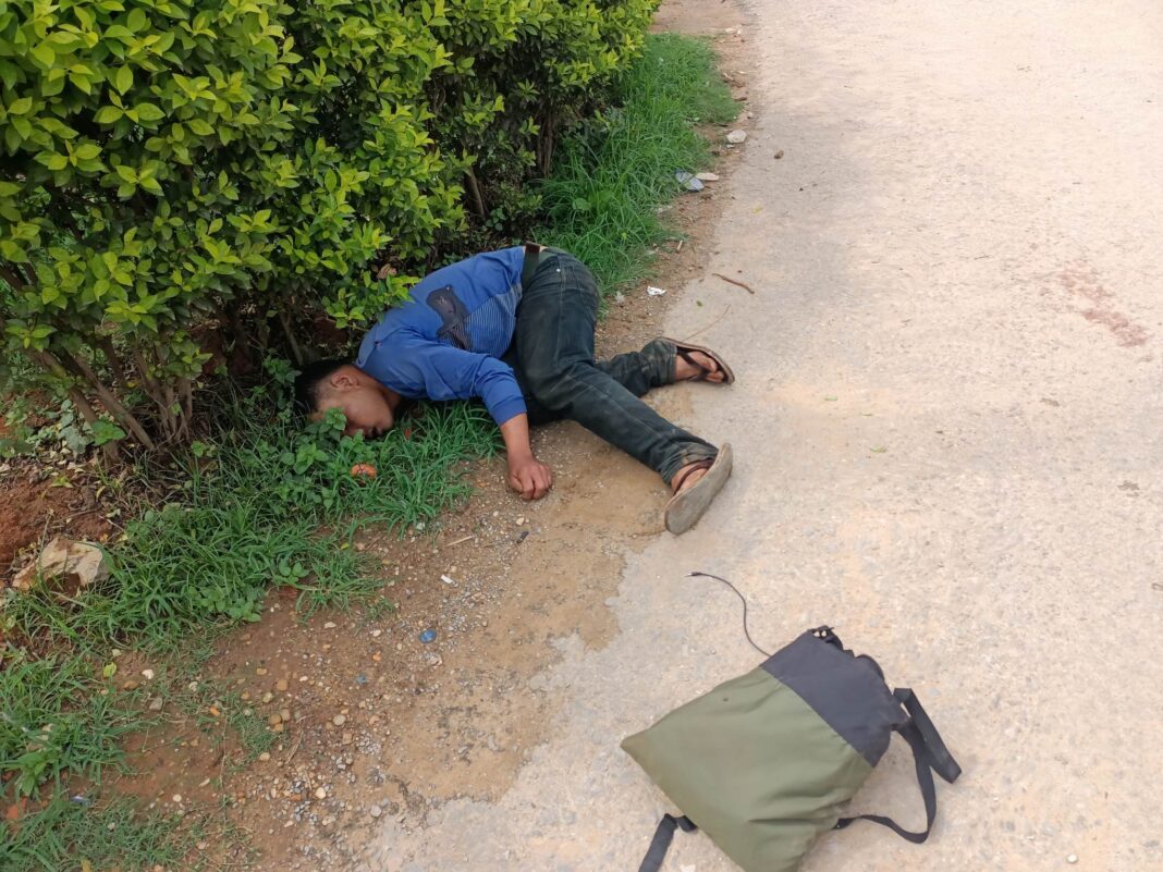 354474465_1353059945553392_204962512924353150_n