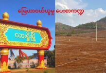 လားရှိုးတိုင်းရင်းသားလယ်ယာမြေ ဘုံပျောက်လာနိုင်