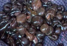 ပုံးအင်းဒေသတွင် မျှော့အစို တစ်ပိဿ ကျပ် ၈ သောင်းပေးပြီး ဝယ်ယူနေ