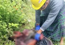 ကွတ်ခိုင်မြို့နယ် ရေခဲချောင်း လှည့်ရောင်းချသူတစ်ဦး သေနတ်ဒဏ်ရာဖြင့် သေဆုံးနေ