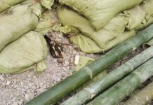 မူဆယ် (၁၀၅) မိုင် ကလေး နှင့် အမျိုးသမီး ကျည်ထိမှန်