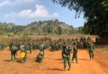 PNLA ထိန်းချုပ်သည့် ကဒူးကြီးဒေသကို စစ်ကော်မရှင်တပ်နှင့် PNO ပူးပေါင်းပြီး ထိုးစစ်ဆင်နေ