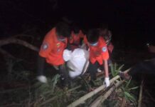 လမ်းမြေညှိယာဉ်တစ်စီး ချောက်ထဲကျ အမျိုးသားတစ်ဦးသေဆုံး