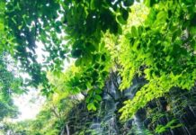 ရွာငံသို့ ခရီးသွားများထံမှ စစ်ကောင်စီ ဂိတ်ငွေတောင်း မပေးလျှင် ဖမ်းဆီး