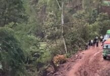 သိန္နီမြို့နယ် မိုင်းလီ ကွင်းလမ်း ပျက်စီး၊ ကားများနွံနစ်မှုဖြစ်