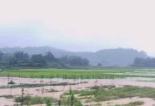 ရွာငံ-အောင်ပန်း လမ်းပေါ် ရေကြီးမှုဖြစ်၊ ခရီးသွားကားများစွာ ပိတ်မိနေ