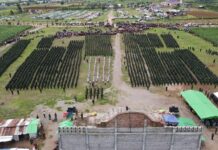 စစ်အင်အား တစ်သောင်း ဒေသကာကွယ်ရေးနှင့် လုံခြုံရေးကိစ္စဆောင်ရွက်သွားမည်ဟု PNO စစ်အင်အားထုတ်ပြ