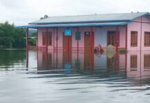 ပုံးအင်းတွင် ရေကြီးမှုကြောင့် စပါးခင်းရေမြှုပ် ပျက်စီး