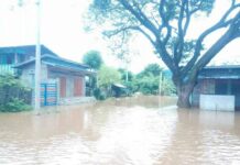 နမ့်တိန်းချောင်း လင်ခေးမြို့ နေအိမ် ၂၀ ကျော် ရေလျှံ၊ ရေမြှုပ်