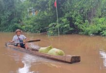 လင်းခေးမြို့နယ် ရေကြီး၊ နေအိမ် တစ်ထောင်ဝန်းကျင်နှင့် လယ်ယာ ဧက ၃၀၀၀ ခန့် နစ်မြှုပ်