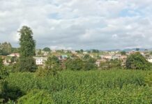 အွန်လိုင်း ကနေ တရားမဝင် မြေကွက်ရောင်းချနေမှုကို ထွေအုပ်ရုံးမှ အသိပေးတားမြစ်