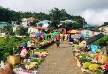 သျှမ်းတောင် ရေကြီးမှုနောက်ဆက်တွဲ ကုန်စိမ်းသီးနှံဈေးနှုန်းများ နှစ်ဆကျော် မြင့်တက်