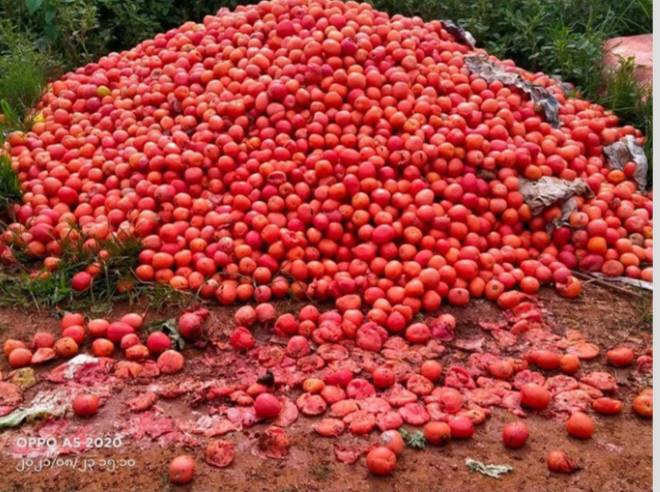 signal-2024-09-05-144201_002